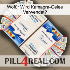 Wofür Wird Kamagra-Gelee Verwendeta kamagra1